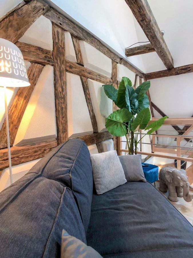 Beauty & The Beast - Old Town Cosy Apartments Colmar Eksteriør bilde